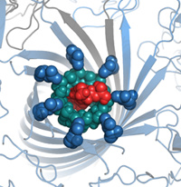 illumina-oxford-nanopore